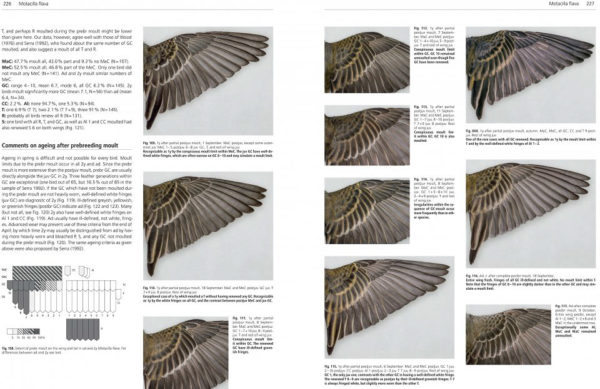 Moult and Ageing in European Passerines