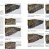 Moult and Ageing in European Passerines