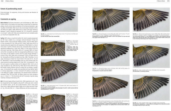 Moult and Ageing in European Passerines