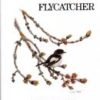 The Pied Flycatcher