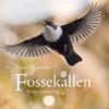 Fossekallen - Norges nasjonalfugl & Linn Therese og fossekallen