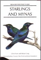 Starlings and Mynas