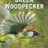 The Green Woodpecker