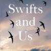 Swifts and Us