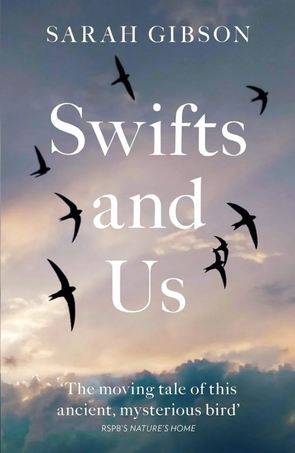 Swifts and Us