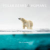 Polar Bears & Humans