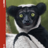 Mammals of Madagascar - Lynx Illustrated Checklists