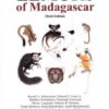 Lemurs of Madagascar