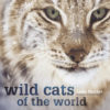 Wild Cats of the World