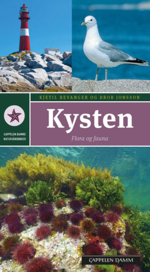 Kysten - flora og fauna