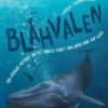 Blåhvalen