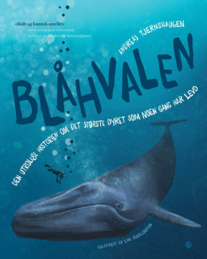 Blåhvalen