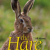 The Hare