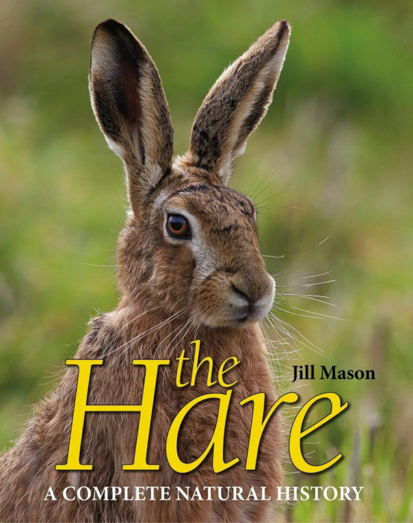 The Hare