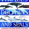 Whales, Dolphins and Seals