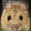 Handbook of the Mammals of the World, vol. 7.