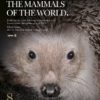 Handbook of the Mammals of the World, vol. 8.