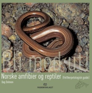 Norske amfibier og reptiler