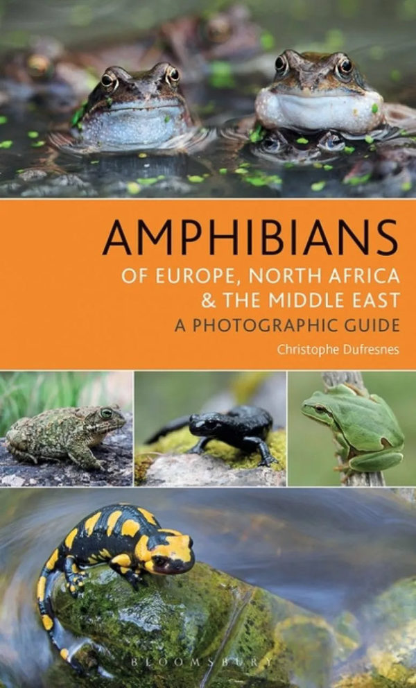 Amphibians of Europe, North Africa & the Middle East