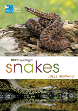 RSPB Spotlight Snakes