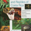 The Amphibians and Reptiles of Costa Rica