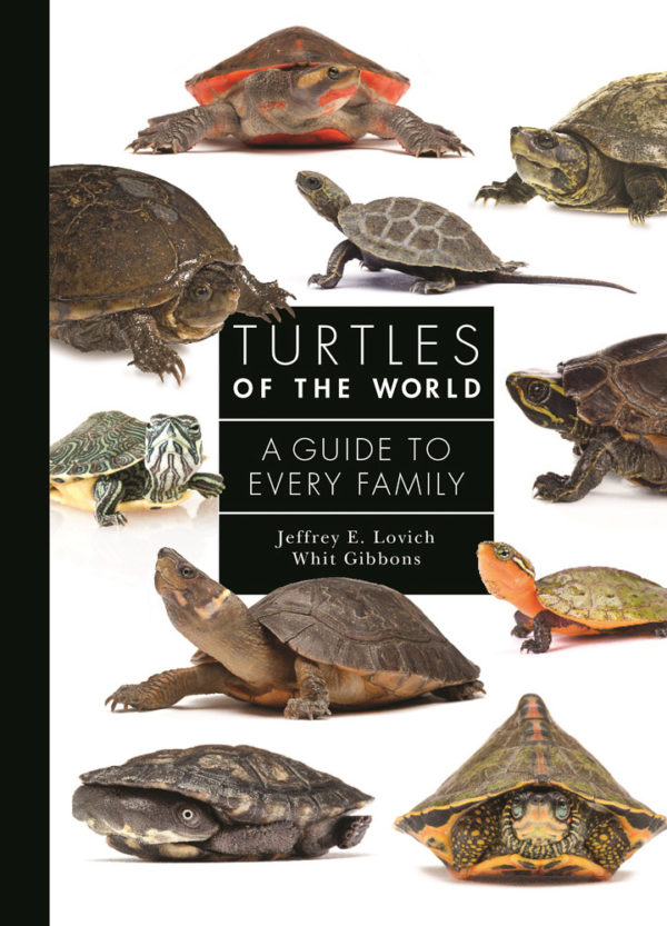 Turtles of the World