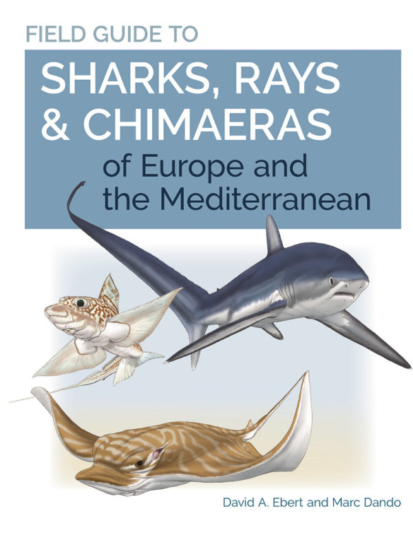 Field Guide to Sharks, Rays & Chimaeras