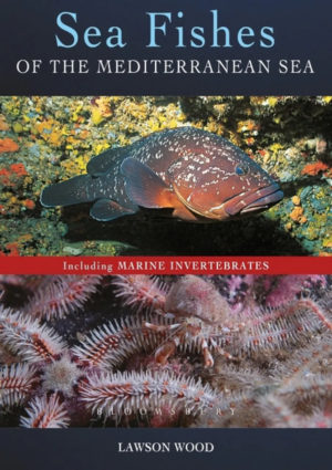 Sea Fishes of the Mediterranean