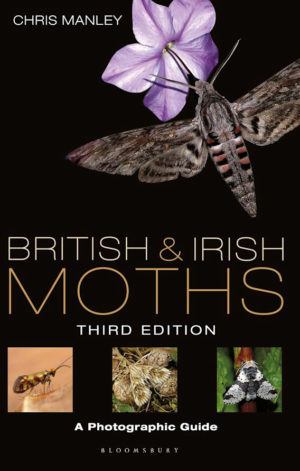 British and Irish Moths
