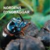 Nordens dyngbaggar