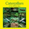 Colour Identification Guide to Caterpillars of the British Isles