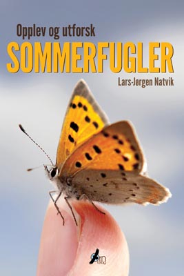 Opplev og utforsk sommerfugler