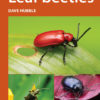 Leaf beetles