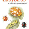 Field Guide to the Ladybirds of Great Britain and Ireland