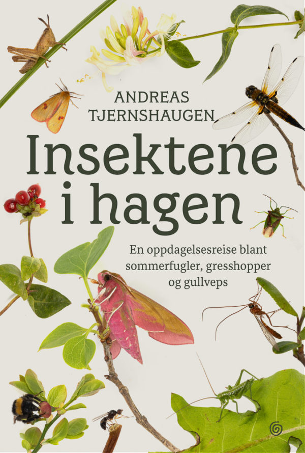 Insektene i hagen