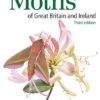 Field Guide to the Moths of Great Britain and Ireland