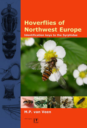 Hoverflies of Northwest Europe