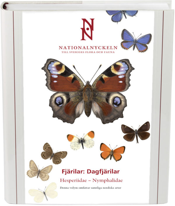 Fjärilar: Dagfjärilar, Hesperiidae - Nymphalidae