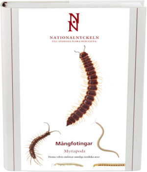 Mångfotingar Myriapoda (tusenben)