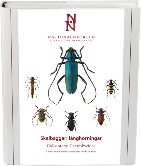 Skalbaggar: Långhorningar. Coleoptera -Cerambycidae