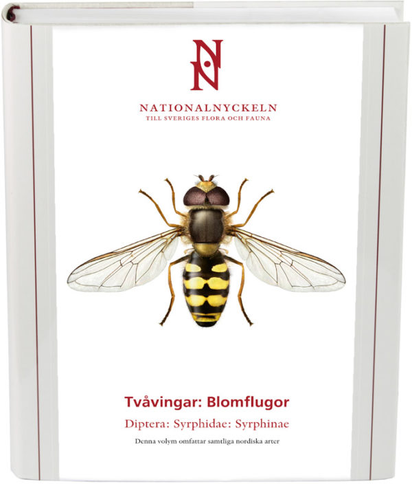 Tvåvingar: Blomflugor. Syrphidae: Syrphinae