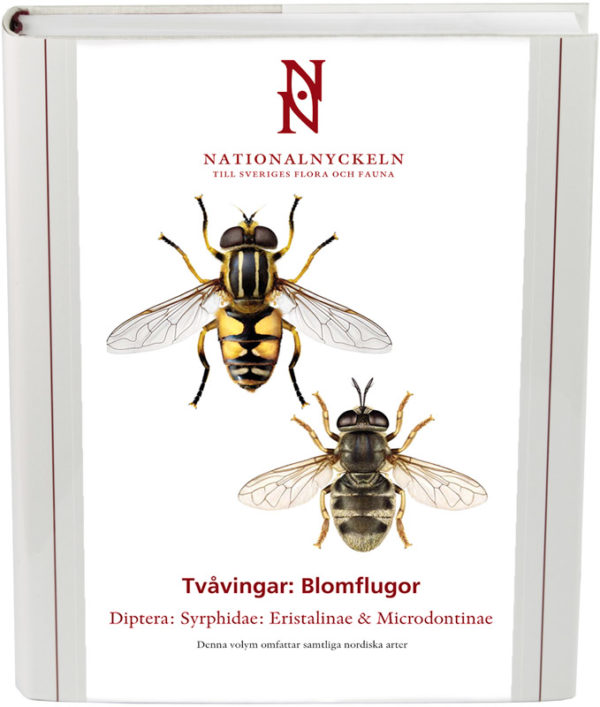 Tvåvingar: Blomflugor. Syrphidae: Eristalinae & Microdontinae