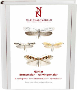 Fjärilar: Bronsmalar - rullvingemalar. Roeslerstammiidae - Lyonetiidae