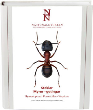 Steklar: Myror - getingar. Hymenoptera: Formicidae–vespidae