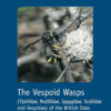 The Vespoid Wasps (Tiphiidae, Mutillidae, Sapygidae, Scoliidae and Vespidae) of the British Isles