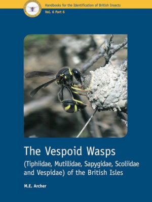 The Vespoid Wasps (Tiphiidae, Mutillidae, Sapygidae, Scoliidae and Vespidae) of the British Isles