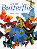 World Butterflies