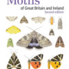 Concise Guide to the Moths of Great Britain and Ireland