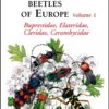 Phytophagous Beetles of Europe - Volume 1: Buprestidae, Elateridae, Cleridae, Cerambycidae. 2. Utgave