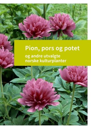 Pion, pors og potet